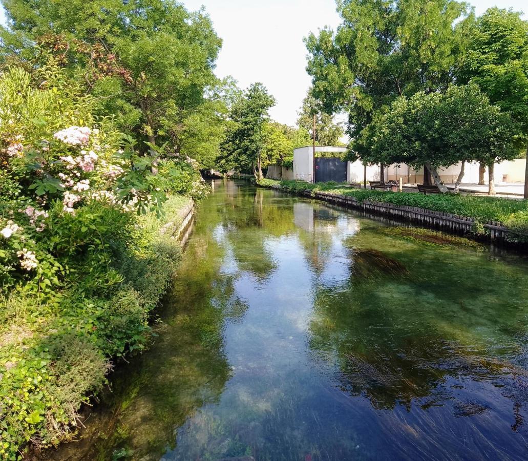 Casa Mia, Chambre Privee En Provence LʼIsle-sur-la-Sorgue Εξωτερικό φωτογραφία